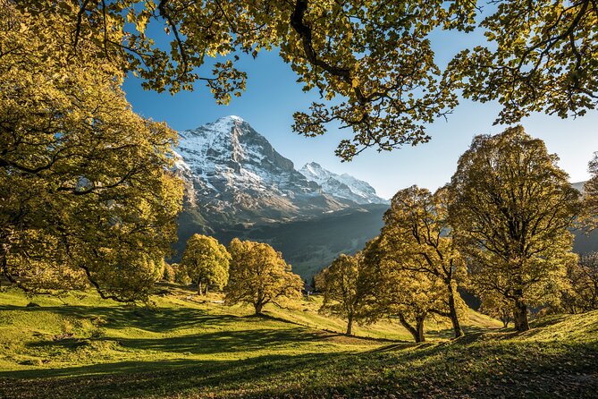 Grindelwald, Interlaken and Lauterbrunnen Day Trip from Lucerne - Grindelwald Free Time: the best balance of town wandering and optional mountain rides