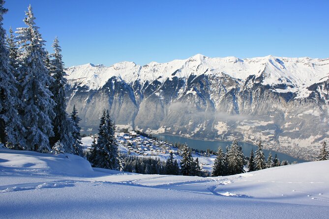 Grindelwald, Interlaken & Lauterbrunnen Day Trip from Zurich - Interlaken in 50 Minutes: How to Spend It Without Feeling Lost