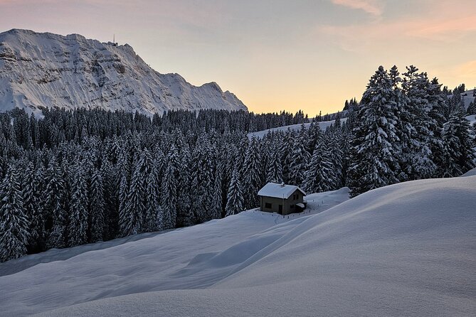 Grindelwald, Lauterbrunnen Lungern Interlaken Semi-Private - Semi-private pacing: why max 8 travelers feels better