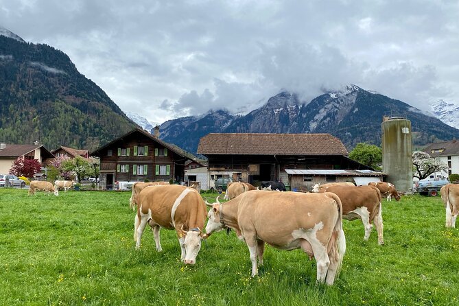 Grindelwald, Lauterbrunnen & Mürren Private Day Trip from Zurich - Lauterbrunnen valley walk: waterfalls and gentler pacing