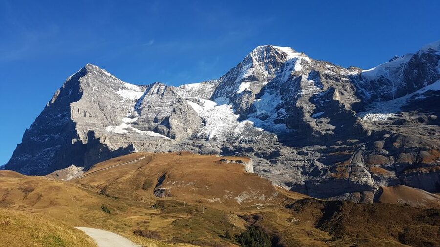 Grindelwald -Scheidegg-Lauterbrunnen Small Group Day Trip - Price and what the $496 per person really covers