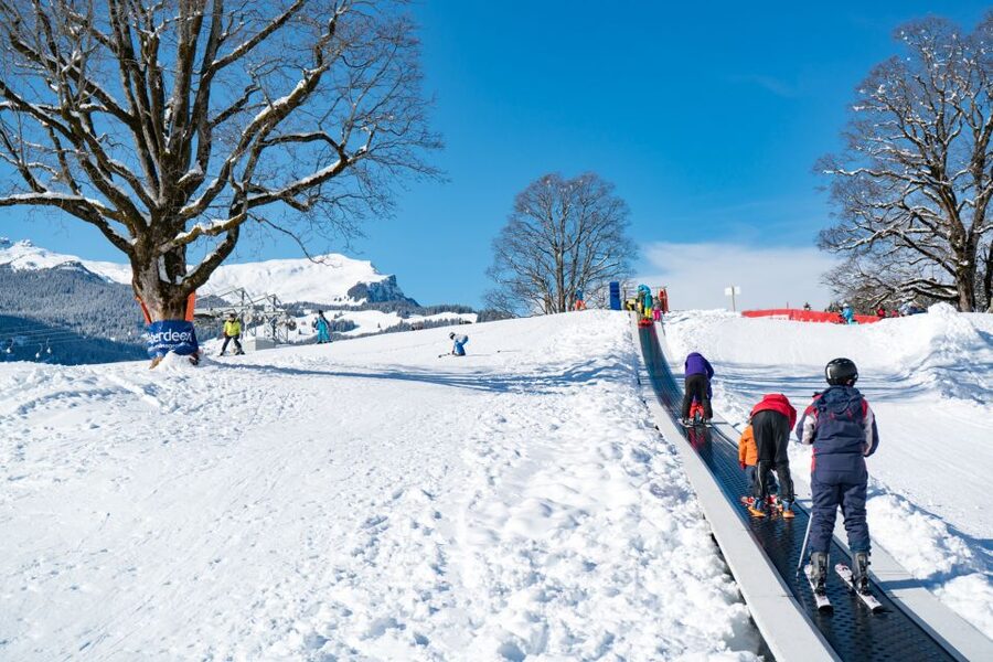 Grindelwald: Sledding at Bodmi Arena - The bigger arena around you: beginner skiing, Kids Village, and more