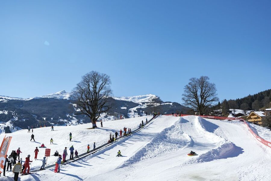Grindelwald: Sledding at Bodmi Arena - Magic carpet rides: the lift that makes sledding feel effortless