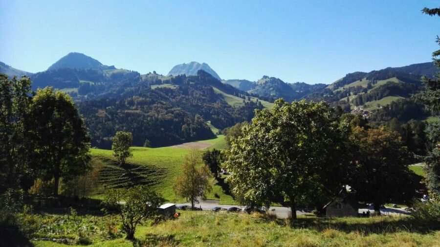 Gruyères, Cheese and Chocolate: Private Tour - Language, pace, and the private-group advantage