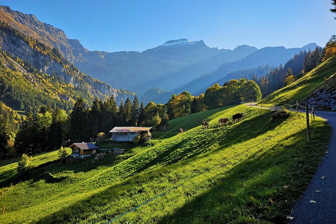 Guided Excursion to Jungfraujoch, Grindelwald and Lauterbrunnen from Lucerne - The descent: Kleine Scheidegg, Wengen, and Lauterbrunnen valley