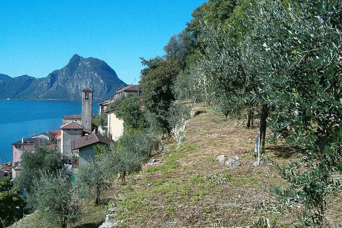 Guided Walk from Lugano to Gandria promoted by Lugano Region - return by boat - Included time in Gandria: customs, grotti, and food pacing