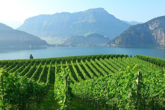 Half-Day Lake Lucerne Country Walk - Why this half-day walk works when your Lucerne time is tight