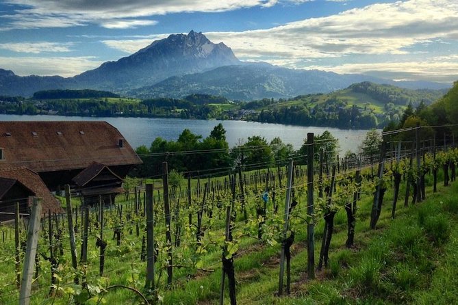 Half-Day Lake Lucerne Country Walk - What you see on the walk, Lake Lucerne plus Pilatus and Rigi