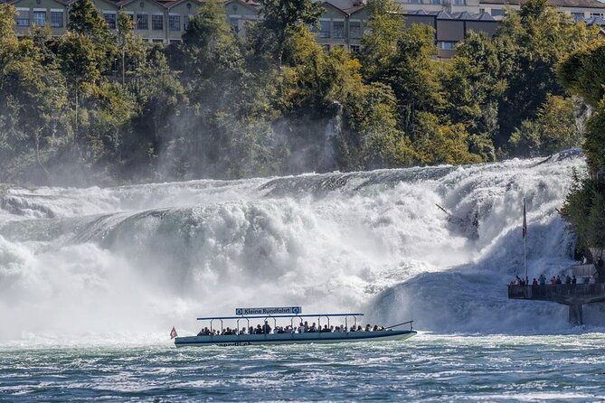Half Day Tour To Rhine Falls and Stein am Rhein From Zurich - Comfort and timing: how to make the 5 hours work for you