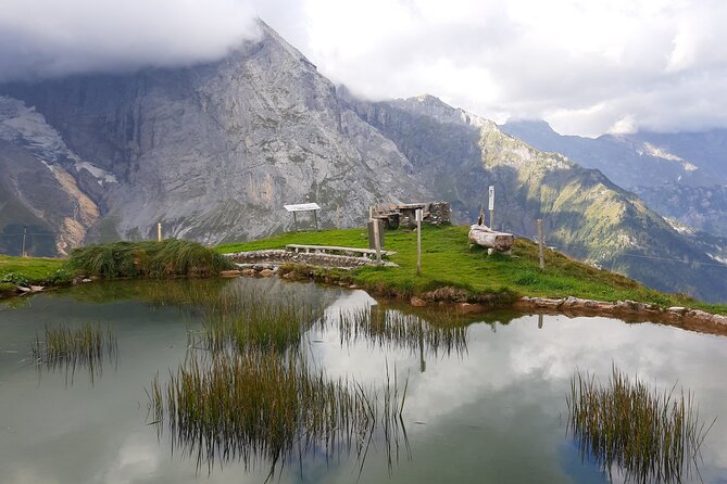 Heart of the Alps Private Hiking Tour from Lucerne - Price and logistics value: what $579.67 buys you