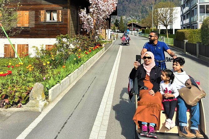 Hidden gems e-bike tour with picnic at Lake Brienz - Böningen village pass: traditional wooden chalets and gardens