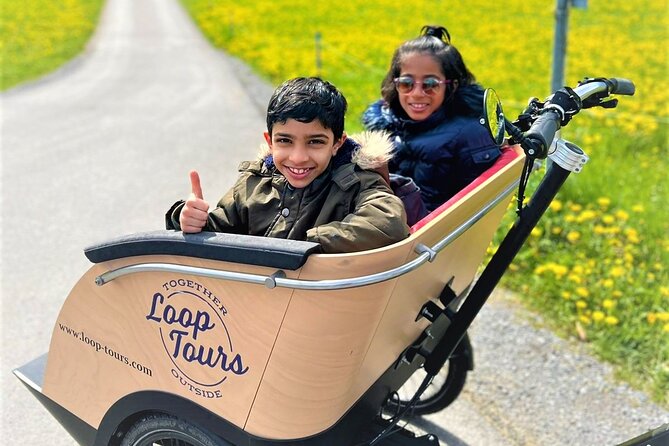 Hidden gems e-bike tour with picnic at Lake Brienz - Small group, real guide energy: what you’re buying beyond the bike