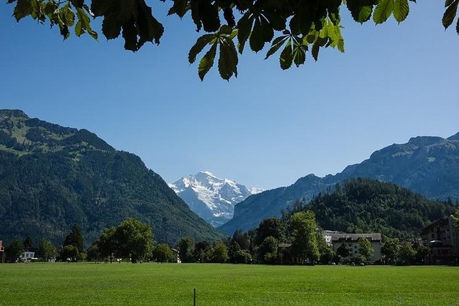 Interlaken 3-hours Private Walking Tour & Mt. Harder Excursion - Hohematte Park, paragliders, and the Jungfrau-region viewpoint angle