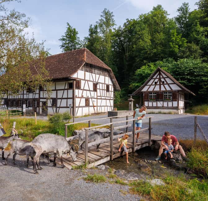 Interlaken: Admission ticket for the Ballenberg Open-Air Museum - Step Inside 100+ Buildings: From Farm Life to Working Trades