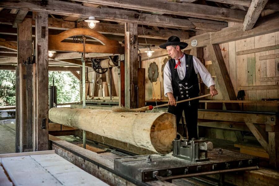 Interlaken: Admission ticket for the Ballenberg Open-Air Museum - Craft Demonstrations That Make the Past Practical