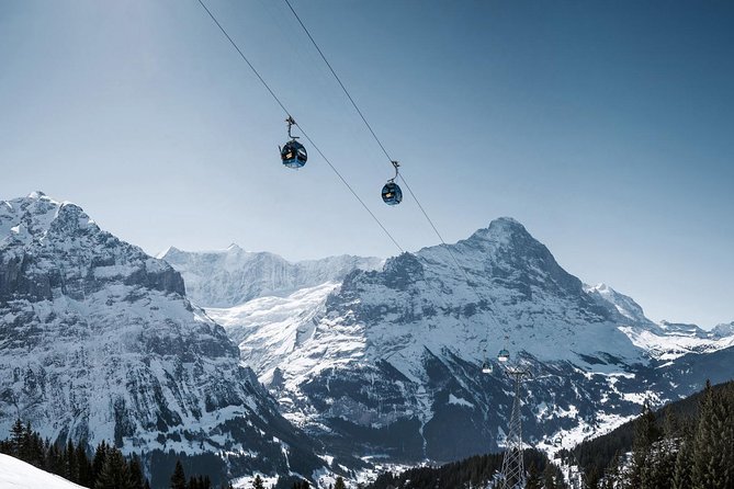 Interlaken and Grindelwald Day Trip from Lucerne - Guide Reality Check: What You Can Expect on Board