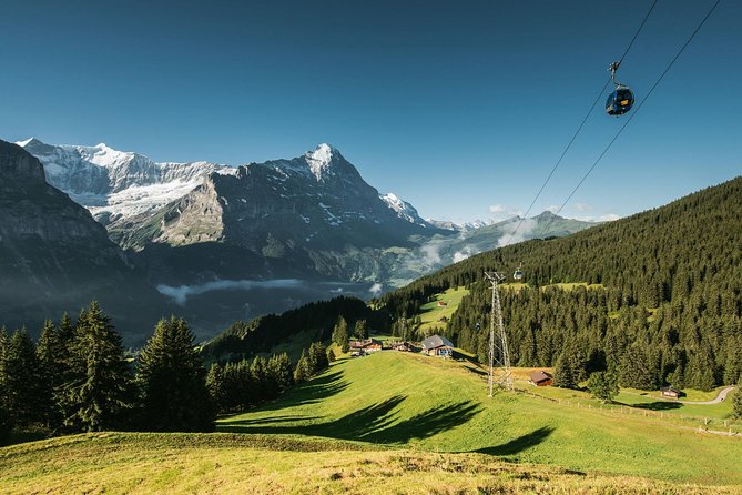 Interlaken and Grindelwald Day Trip from Lucerne - Who This Day Trip Suits Best