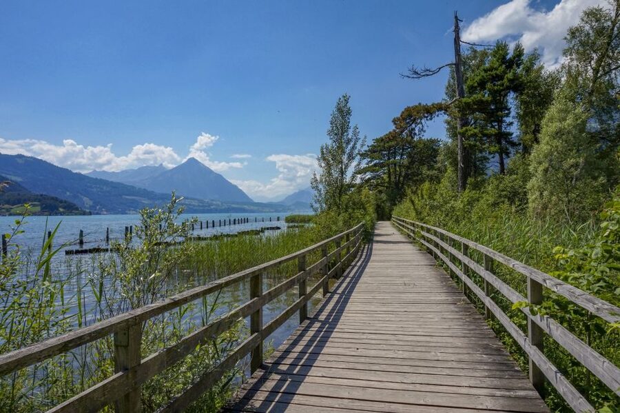 Interlaken: Express Walk with a Local in 60 minutes - Casino Interlaken AG: A Landmark Stop for Easy Orientation