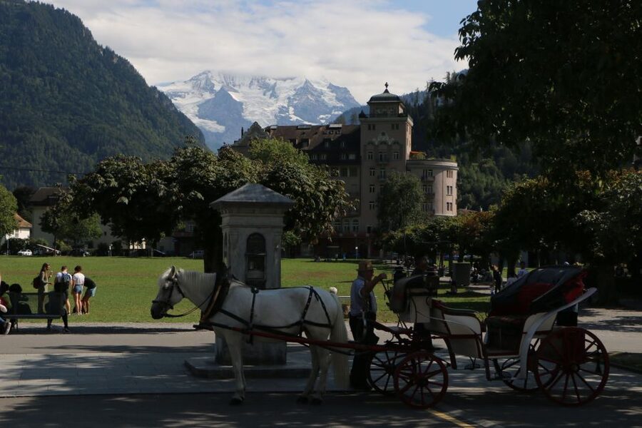 Interlaken: Highlights Tour with a Local by Private Car - Trümmelbach Waterfalls: The Highlight You Can Rely On