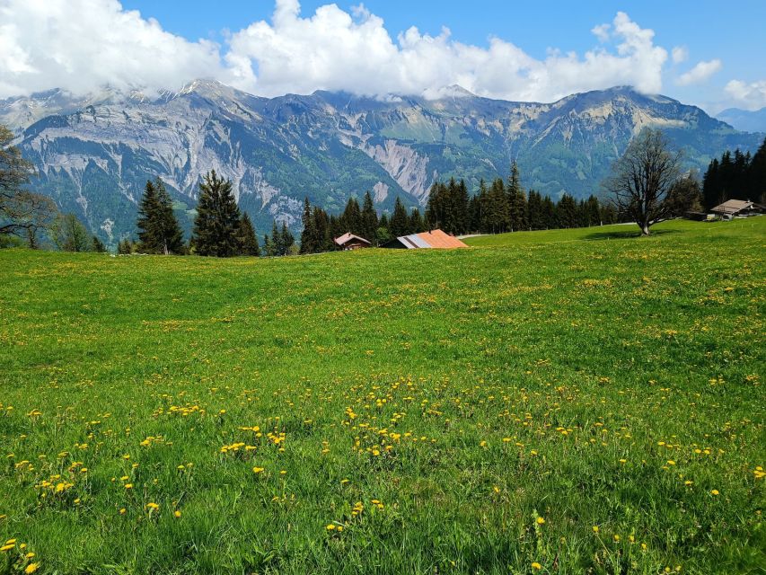 Interlaken: Highlights Tour with a Local by Private Car - Interlaken and the Valley Base Stops That Set the Tone