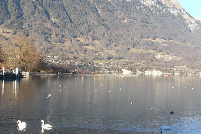 Interlaken Private Tour: Mountains Cows, Thun Lake, and Brienz Lake - Pickup, minivan comfort, and how the timing feels