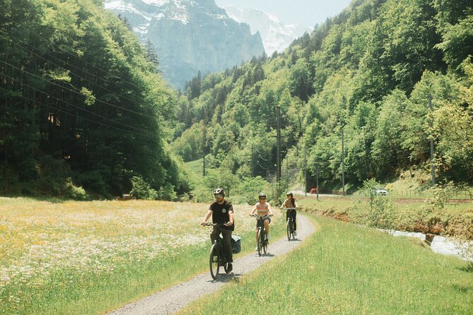 Interlaken Valley E-Bike Tour: Rivers, Lakes, Forests & Castles - Key things to know before you ride