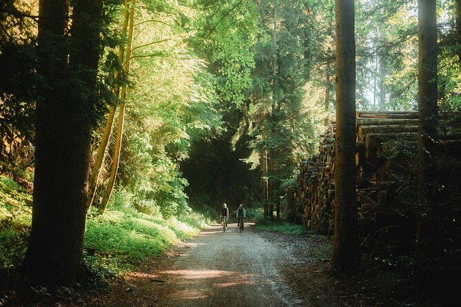 Interlaken Valley E-Bike Tour: Rivers, Lakes, Forests & Castles - The Aare River cycle path, turquoise water and easy momentum
