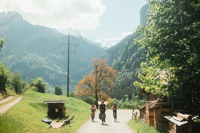 Interlaken Valley E-Bike Tour: Rivers, Lakes, Forests & Castles - Farmland viewpoints to Unterseen’s Stadthausplatz