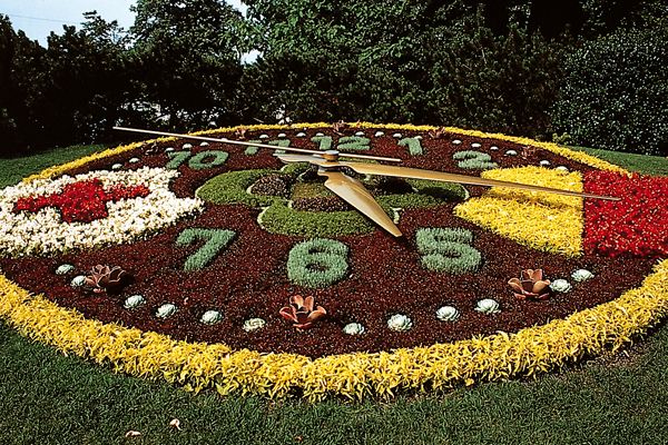 International & Panoramic Tours Geneva - When Things Go Off Plan: Road Closures and Route Changes