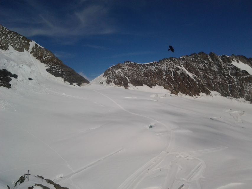 Jungfraujoch Top of Europe Private Day Trip from Bern - Private guide value: what you pay for, what you gain