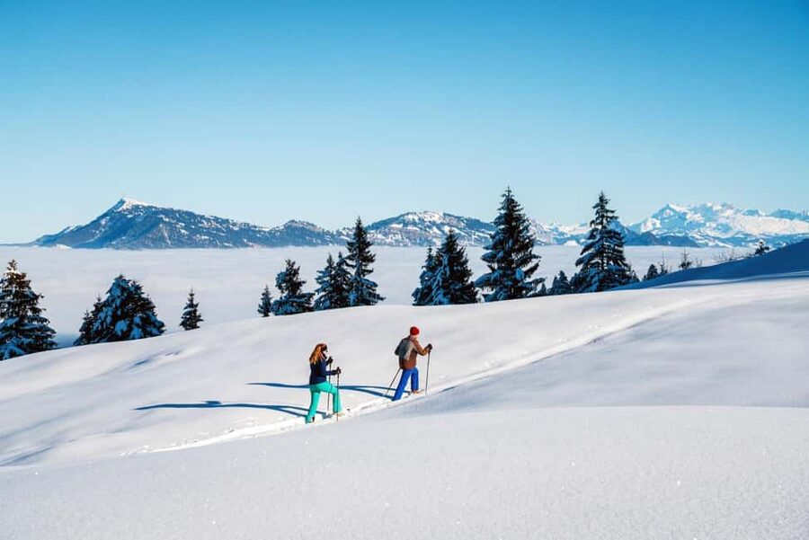 Kriens: Mt. Pilatus by Panoramic Gondola and Aerial Cableway - Dragon World at the Top: What to Do After You Arrive