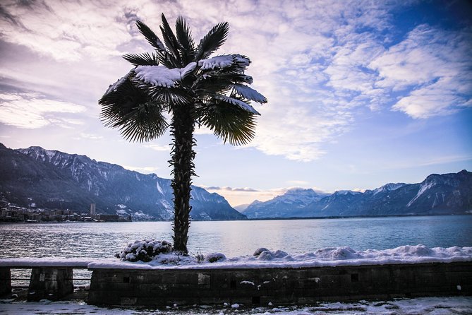 (KTG303) - Winter Montreux, Chillon & Chaplin's World from Geneva - Lavaux UNESCO photo stops: lake views with the right amount of time