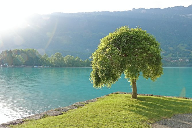 (KTG361) - Interlaken day trip by bus from Geneva - The Morning Start at Keytours SA: How the Day Gets Organized