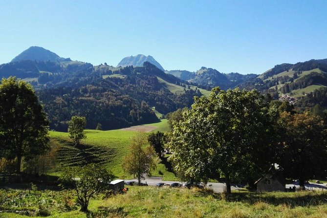 (KTL352) - Gruyeres Day Trip with Chocolate Factory from Lausanne - Guides make the day: what to look for