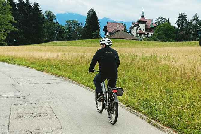 Lake Lucerne Peninsula e-bike Tour - Comfort, safety, and e-bike reality checks