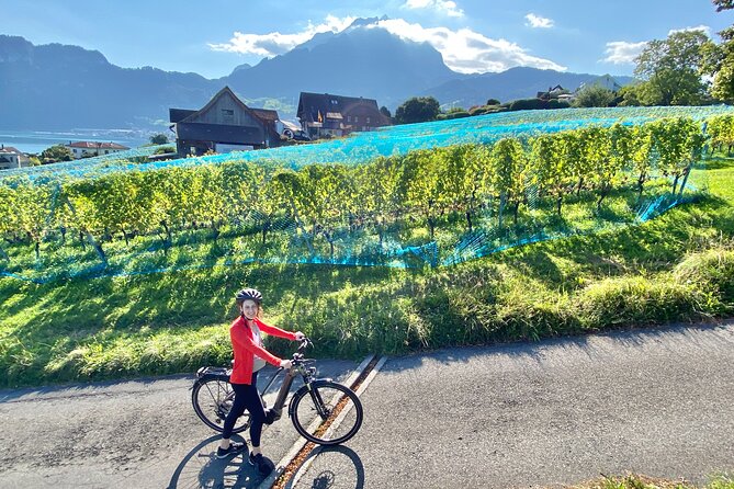 Lake Lucerne Peninsula e-bike Tour - Price and value: is $257 per person a good deal?