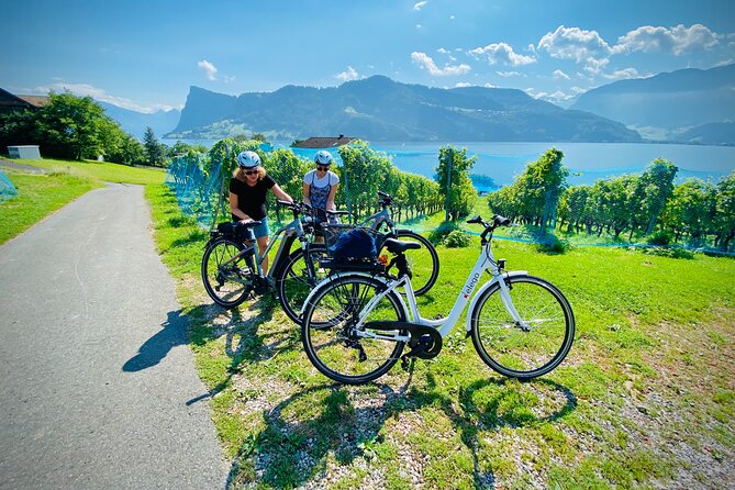 Lake Lucerne Peninsula e-bike Tour - Who should book this, and who should pass