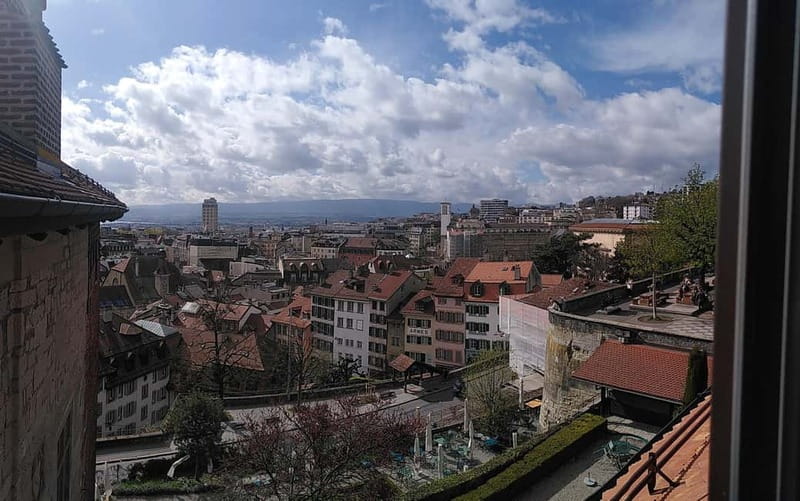 Lausanne: Cultural and Historical Guided Walking Tour - La Louve and Palais Rumine: culture without the museum ticket