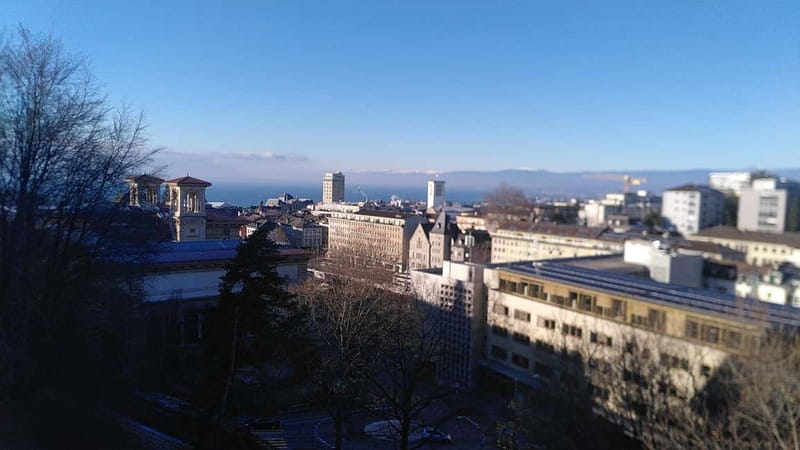 Lausanne: Cultural and Historical Guided Walking Tour - Price and value: what $97 buys you