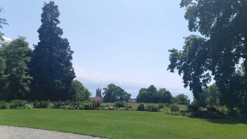 Lausanne: Cultural and Historical Guided Walking Tour - Lausanne Cathedral and Place de la Riponne: your first city anchors