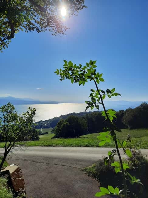 Lausanne: Walking Tour with Chocolate Tastings & Metro - Château Saint-Maire: Medieval Power Made Understandable