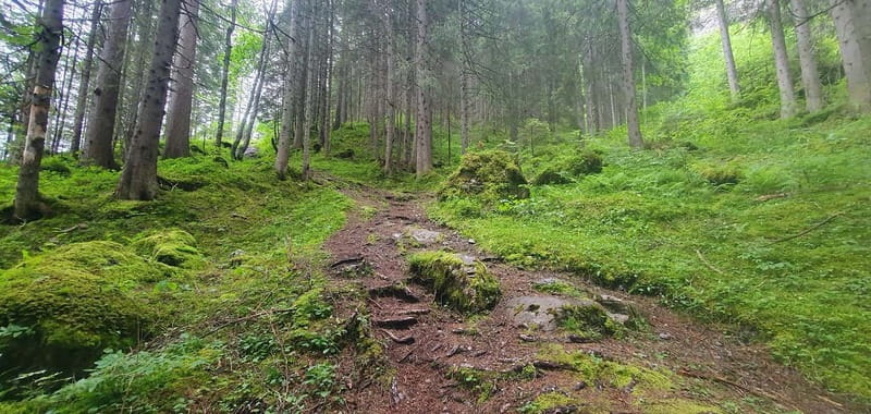 Lauterbrunnen: Private Walking Tour with an Irish Guide - The Half-Day Plan: How the Timing Works in 3.5 Hours