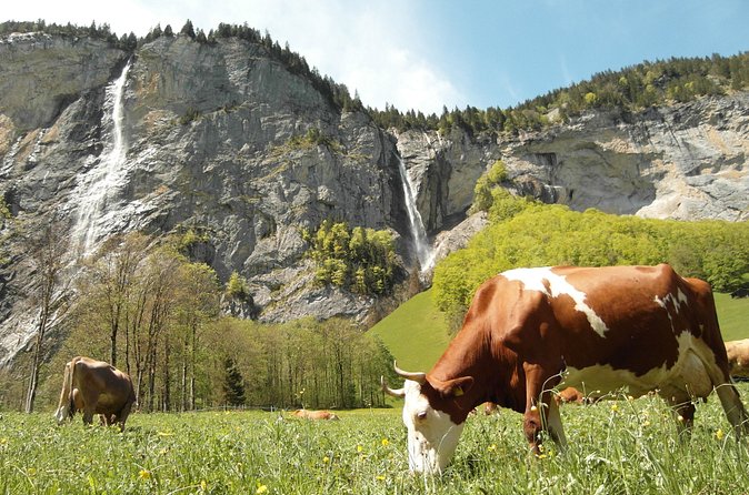 Lauterbrunnen Valley Waterfalls E-bike Tour with Swiss Picnic - Trümmelbach Falls inside the mountain, 20,000 litres per second