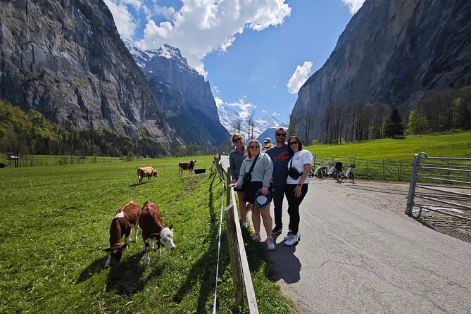 Lauterbrunnen Valley Waterfalls E-bike Tour with Swiss Picnic - Price and effort: is $344.31 a good deal?