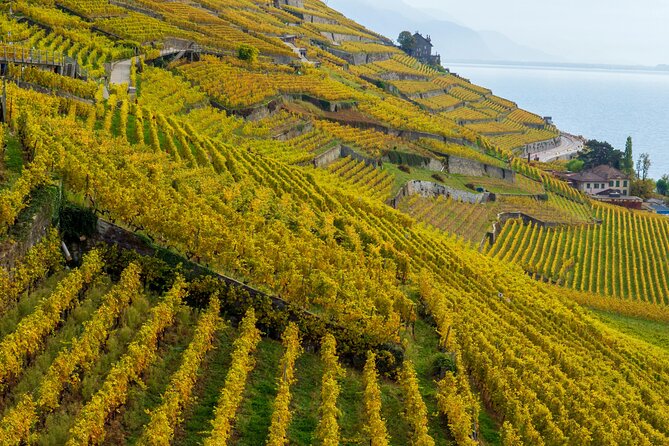 Lavaux Wine and Vineyard Experience with Boat Cruise - Key highlights I’d prioritize