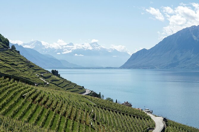 Lavaux Wine and Vineyard Experience with Boat Cruise - Why Lavaux feels different on a guided small-group day