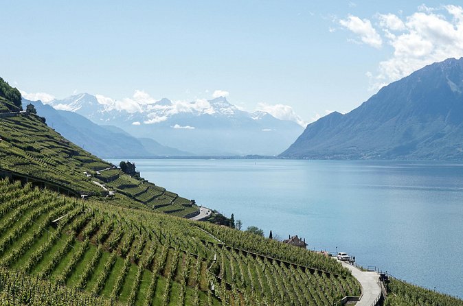 Lavaux Wine and Vineyard Experience with Boat Cruise - Domaine Mermetus: organic viticulture, cellar stories, and tasting time