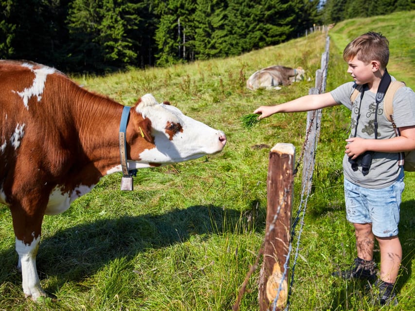 Lucerne: Guided hike on the Pilatus with barbecue experience - Fräkmüntegg open-fire BBQ: Swiss comfort food with mountain air