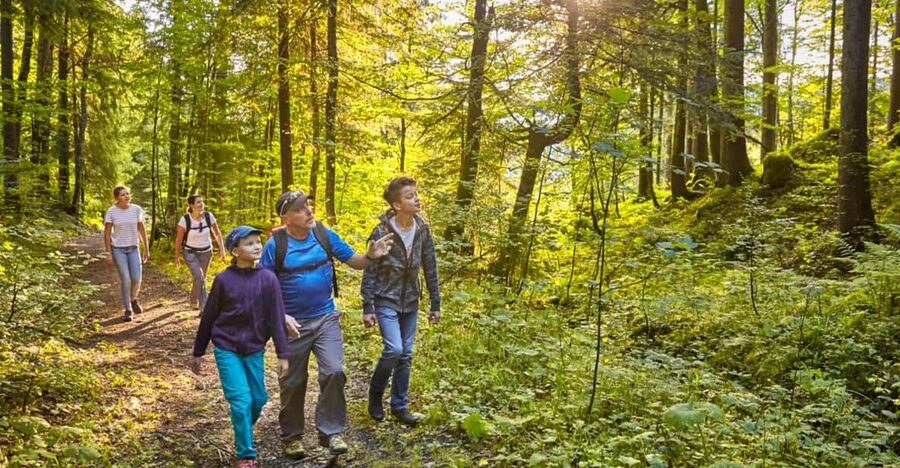 Lucerne: Guided hike on the Pilatus with barbecue experience - Price and value at $245: what you get for a half-day-plus