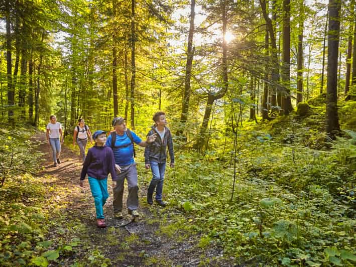 Lucerne: Guided hike on the Pilatus with barbecue experience - Who should book this Pilatus hike with BBQ?